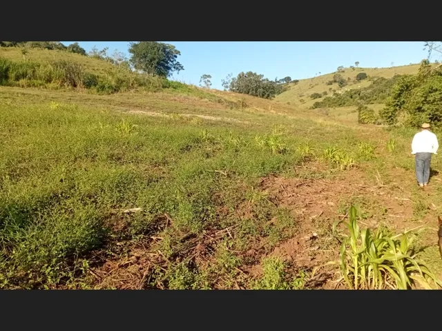 Imagem 3: Chácara a venda 1 alqueires Jardim alegre PR a 5 km da cidade e a 2 km asfalto