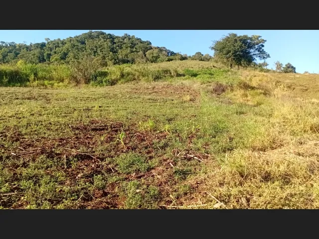 Imagem 7: Chácara a venda 1 alqueires Jardim alegre PR a 5 km da cidade e a 2 km asfalto