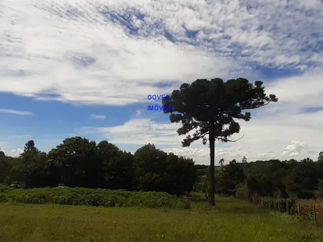 Imagem 15: CHÁCARA 42 MIL M², RODOVIA DA MAÇÃ, ASFALTO BREVE, TANQUE GRANDE PEIXE, CASA, ÁREA