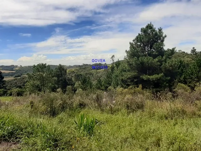 Imagem 5: CHÁCARA 42 MIL M², RODOVIA DA MAÇÃ, ASFALTO BREVE, TANQUE GRANDE PEIXE, CASA, ÁREA