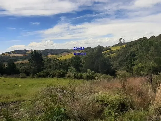Imagem 3: CHÁCARA 42 MIL M², RODOVIA DA MAÇÃ, ASFALTO BREVE, TANQUE GRANDE PEIXE, CASA, ÁREA