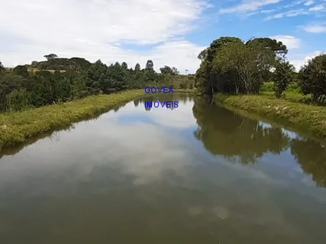 Imagem 10: CHÁCARA 42 MIL M², RODOVIA DA MAÇÃ, ASFALTO BREVE, TANQUE GRANDE PEIXE, CASA, ÁREA