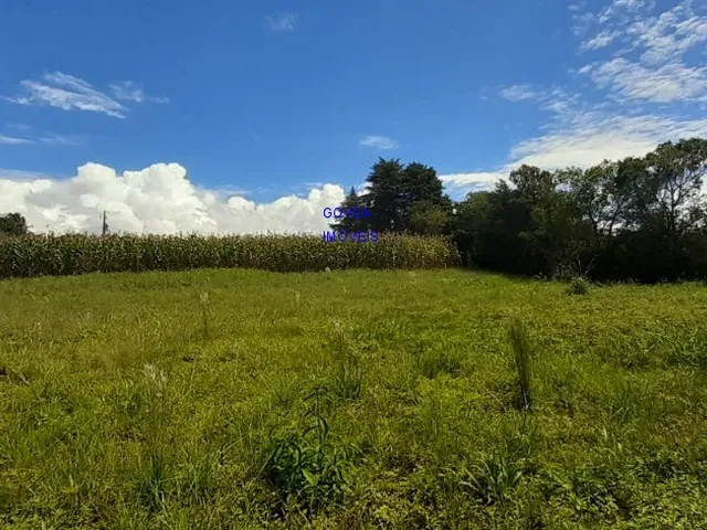 Imagem 4: CHÁCARA 42 MIL M², RODOVIA DA MAÇÃ, ASFALTO BREVE, TANQUE GRANDE PEIXE, CASA, ÁREA
