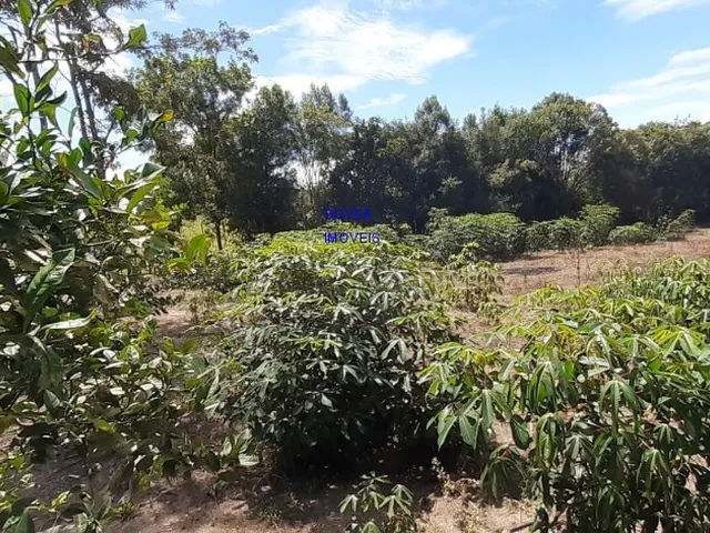 Imagem 8: CHÁCARA 42 MIL M², RODOVIA DA MAÇÃ, ASFALTO BREVE, TANQUE GRANDE PEIXE, CASA, ÁREA