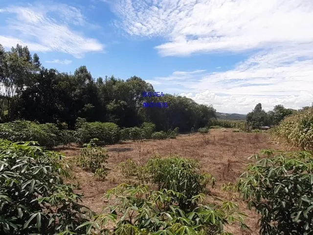 Imagem 11: CHÁCARA 42 MIL M², RODOVIA DA MAÇÃ, ASFALTO BREVE, TANQUE GRANDE PEIXE, CASA, ÁREA