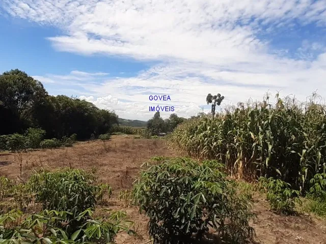 Imagem 14: CHÁCARA 42 MIL M², RODOVIA DA MAÇÃ, ASFALTO BREVE, TANQUE GRANDE PEIXE, CASA, ÁREA