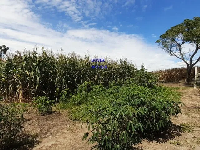 Imagem 16: CHÁCARA 42 MIL M², RODOVIA DA MAÇÃ, ASFALTO BREVE, TANQUE GRANDE PEIXE, CASA, ÁREA