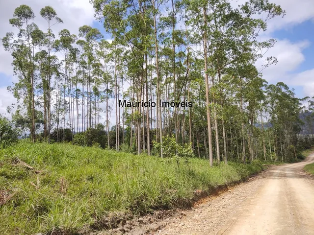 Imagem: SITIO COM 13,86 HECTARES - BELA VISTA