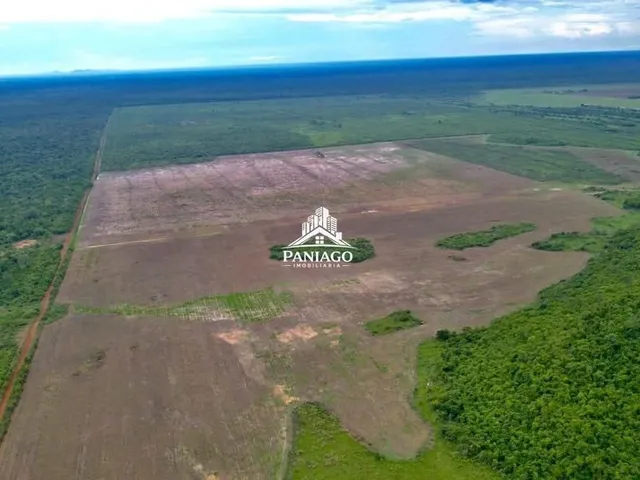 Imagem 6: FAZENDA DUPLA APTIDÃO À VENDA