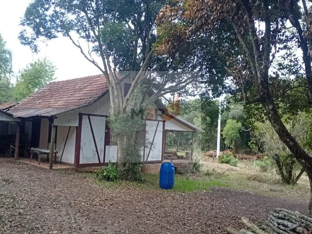 Imagem 8: Sítio à Venda em Linha Nova RS