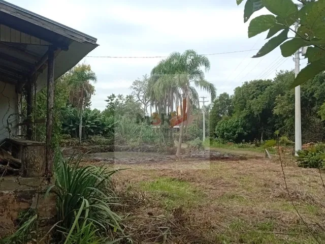 Imagem 9: Sítio à Venda em Linha Nova RS