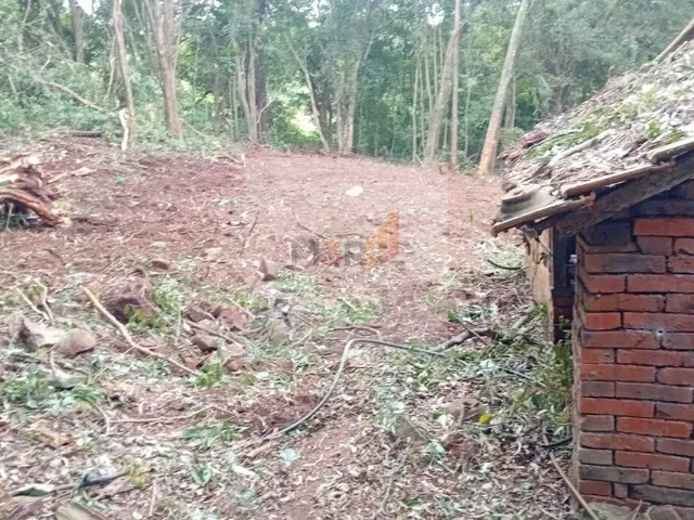 Imagem 4: Sítio à Venda em Linha Nova RS