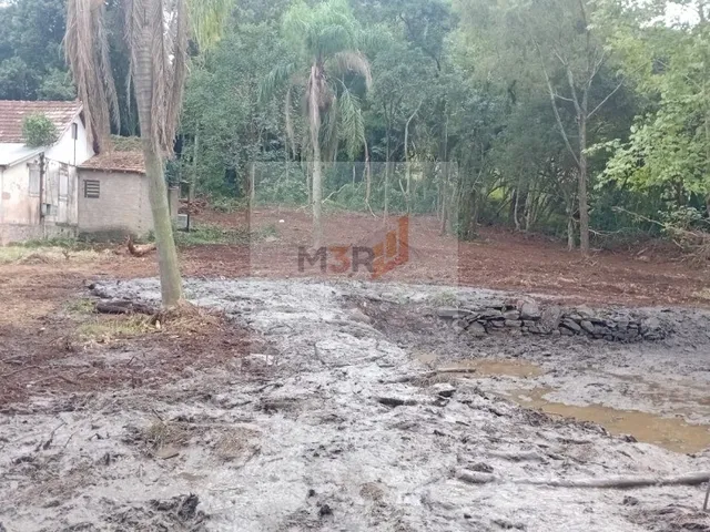 Imagem 11: Sítio à Venda em Linha Nova RS