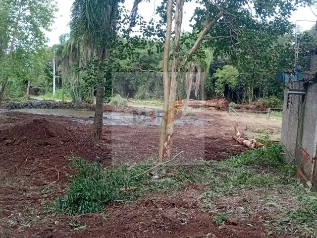 Imagem 5: Sítio à Venda em Linha Nova RS