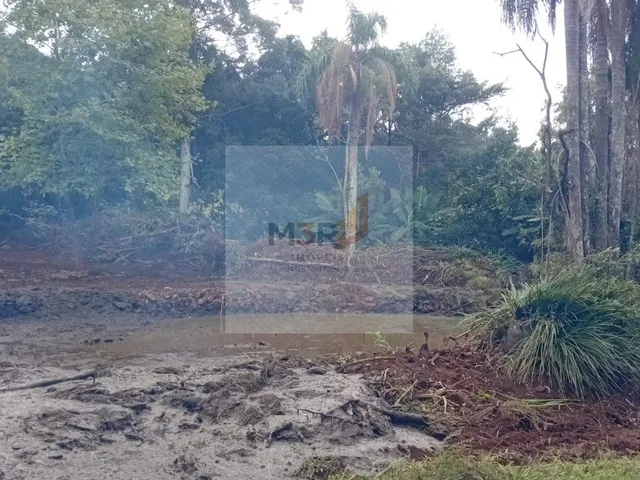 Imagem 10: Sítio à Venda em Linha Nova RS