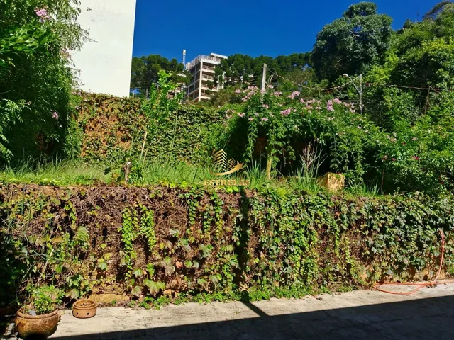 Imagem 8: Imperdível casa à venda em Curitiba-PR, bairro São Lourenço: 3 quartos, 2 suítes, 3