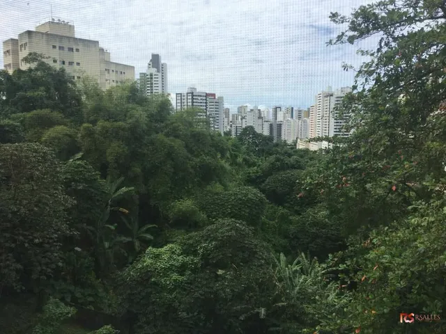 Imagem 13: Apartamento de 02 quartos a venda na Av. D. João Vi em Brotas! Conj. Frei Jacinto !!