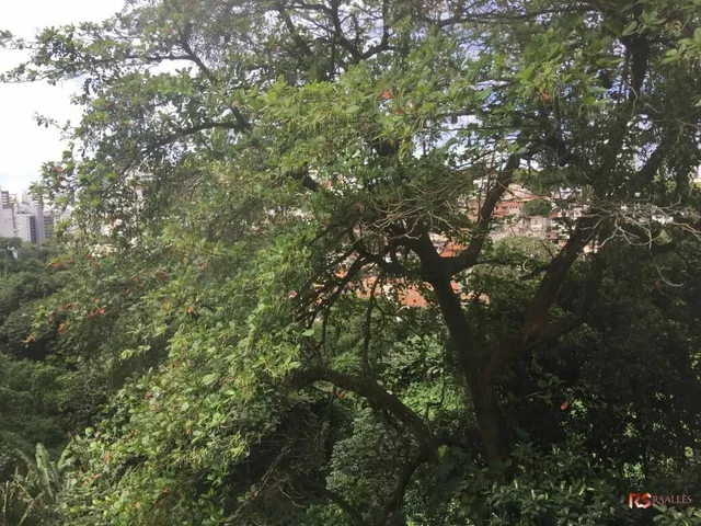 Imagem 4: Apartamento de 02 quartos a venda na Av. D. João Vi em Brotas! Conj. Frei Jacinto !!