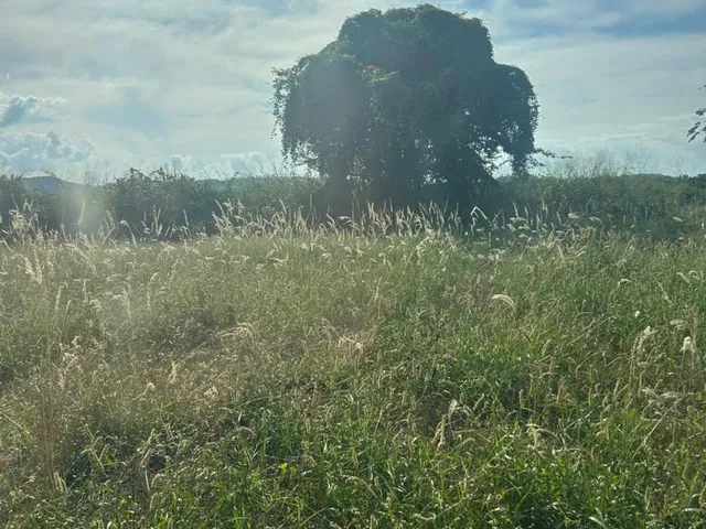 Imagem 6: EXCELENTE SÍTIO EM CÁSSIA MG COM 6,8 ALQUEIRES Á VENDA