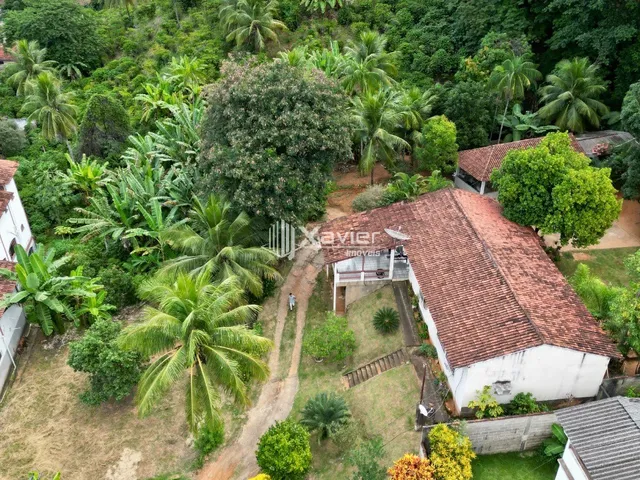 Imagem: Sítio com 15.000 m², Casa, Café Conilon