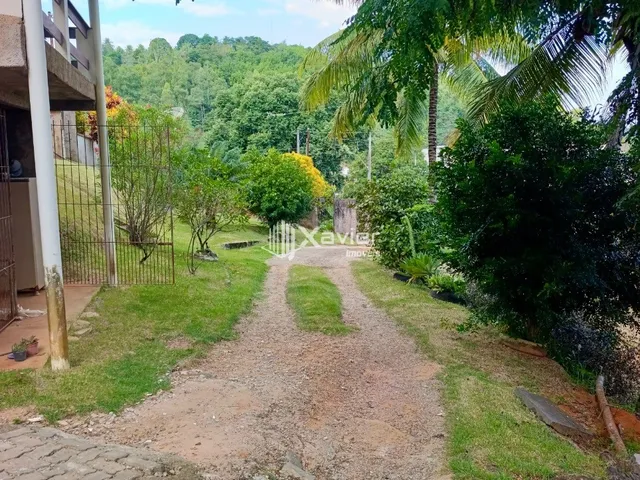 Imagem 5: Sítio com 15.000 m², Casa, Café Conilon em Produção e Potencial para Loteamento em
