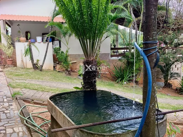 Imagem 12: Sítio com 15.000 m², Casa, Café Conilon em Produção e Potencial para Loteamento em