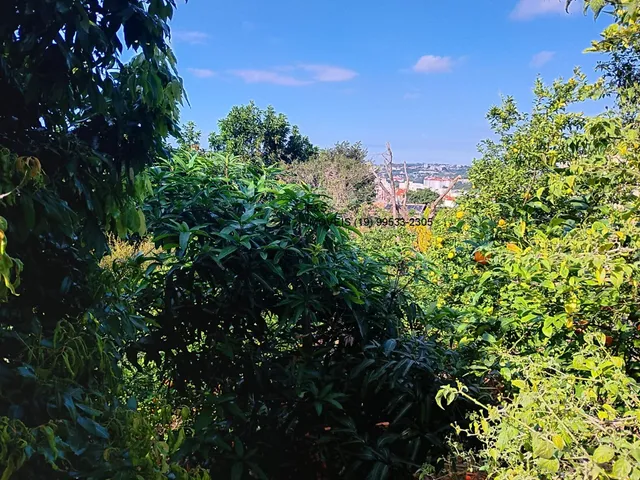 Imagem 10: 0 Loja com 3 dormitórios