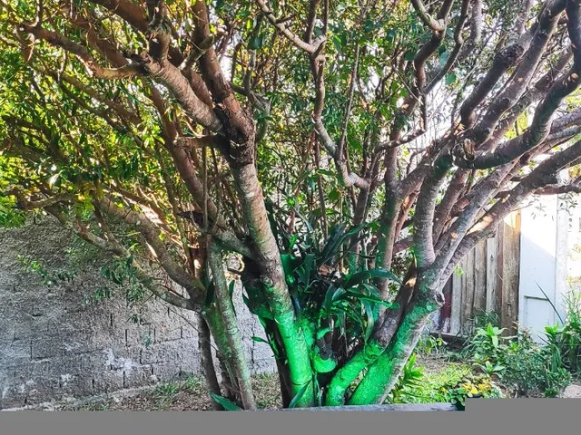 Imagem 8: Linda Casa à Venda em Imbituba-SC, Bairro Ribanceira: 3 quartos, 2 salas, 1 banheiro, 3