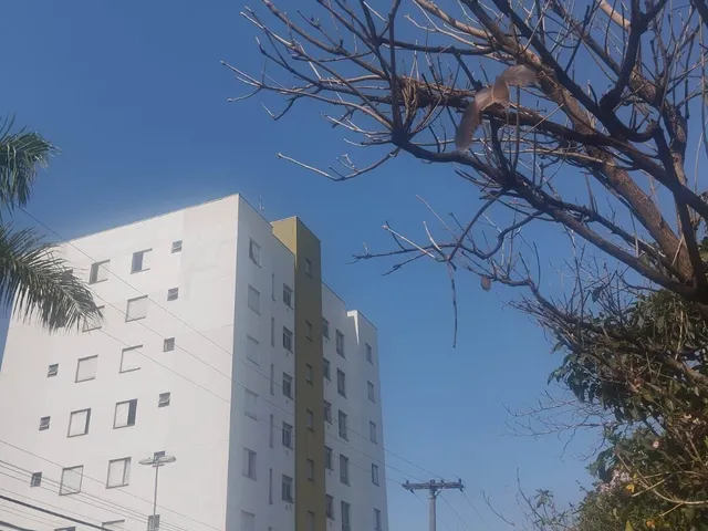 Imagem 8: Apartamento Satélite Íris, Campinas/SP
