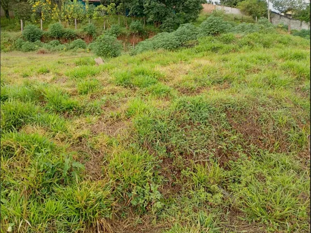 Imagem 2: Vendo Chácara - Bairro Morada Dos Pássaros. R$150.000,00