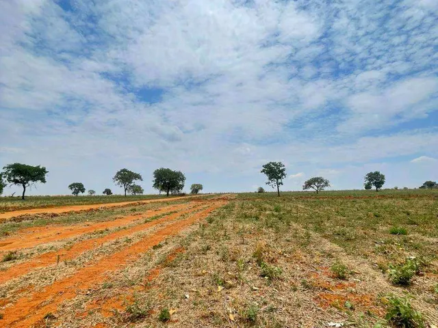 Imagem 8: Condomínio de Chácaras Ipê - Aragoiânia, Goiâs