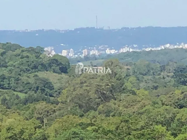 Imagem 13: 9 Hectares de Área de Terra em Vera Cruz