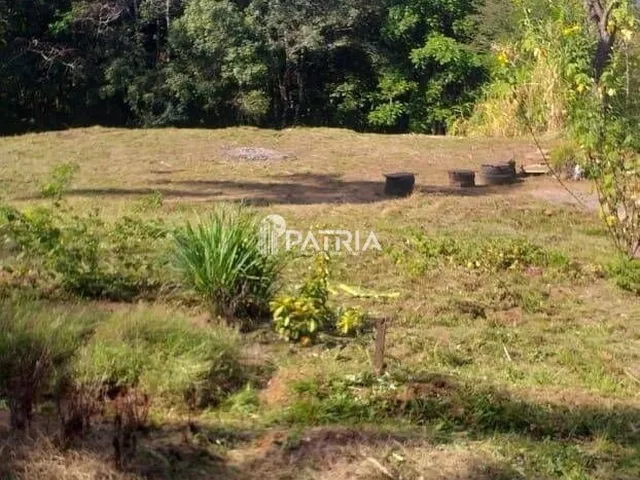 Imagem 11: 9 Hectares de Área de Terra em Vera Cruz