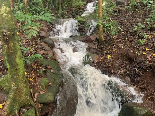 Imagem 15: 9 Hectares de Área de Terra em Vera Cruz