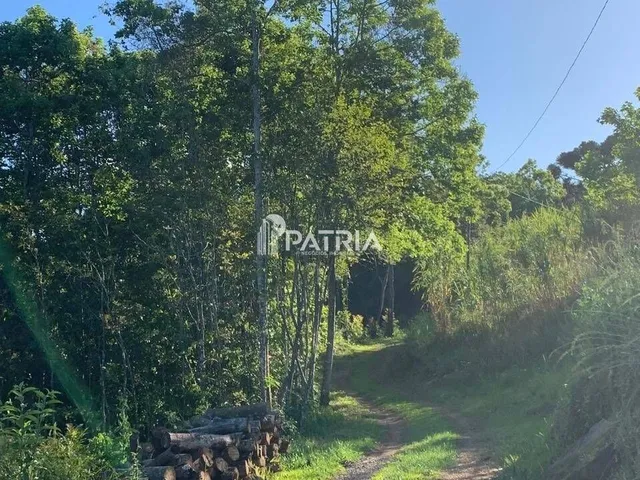 Imagem 6: 9 Hectares de Área de Terra em Vera Cruz