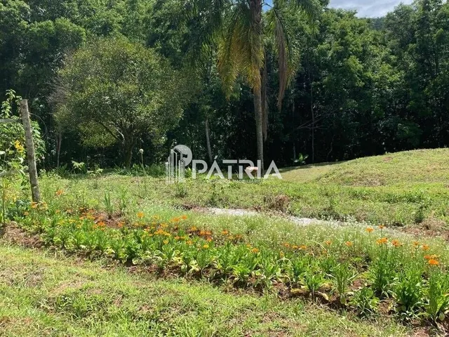 Imagem 5: 9 Hectares de Área de Terra em Vera Cruz