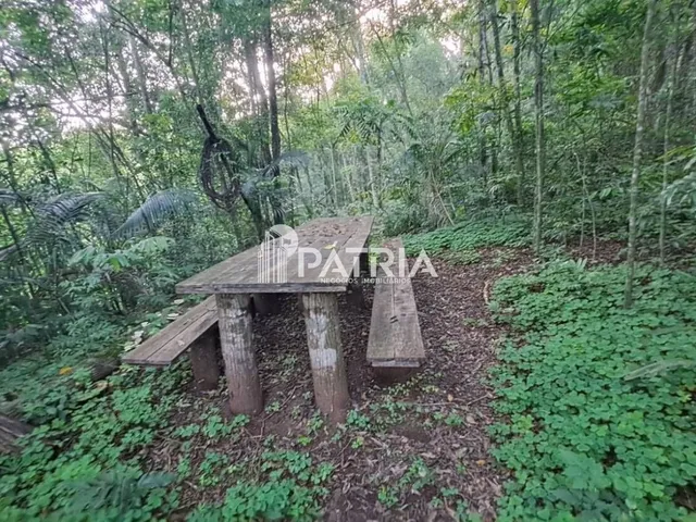 Imagem 4: 9 Hectares de Área de Terra em Vera Cruz