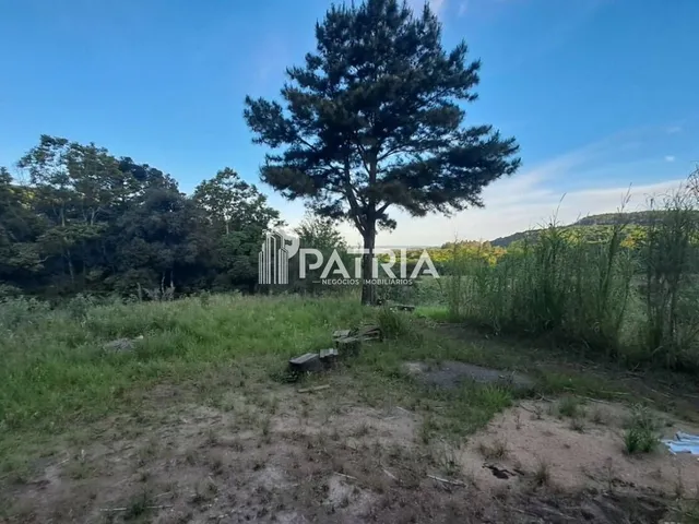 Imagem 16: 9 Hectares de Área de Terra em Vera Cruz