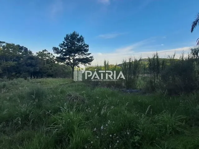 Imagem 7: 9 Hectares de Área de Terra em Vera Cruz