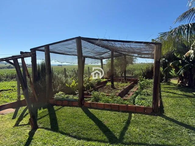 Imagem 6: Chácara por R$400.000 na Linha Pacuri em Santa Helena-PR