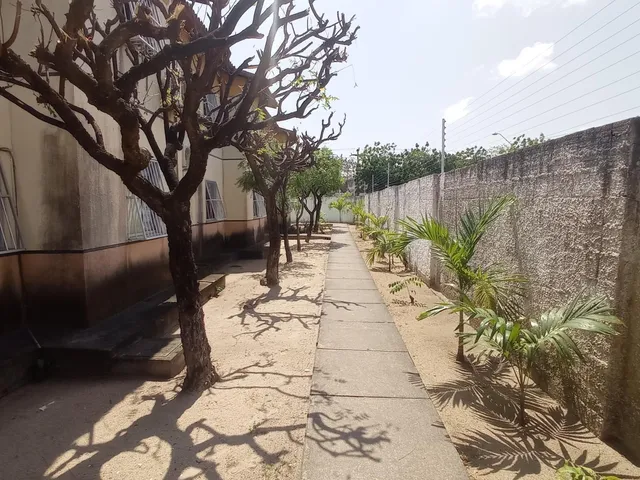 Imagem 8: APARTAMENTO 2 QUARTOS- NO JOSÉ WALTER