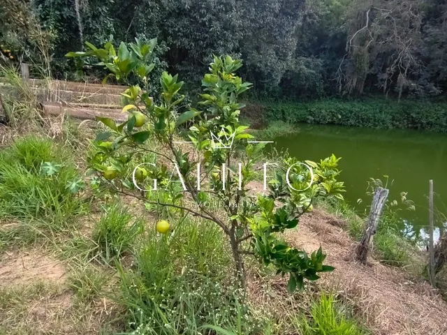 Imagem 12: Excelente oportunidade de investimento: Área à venda em...