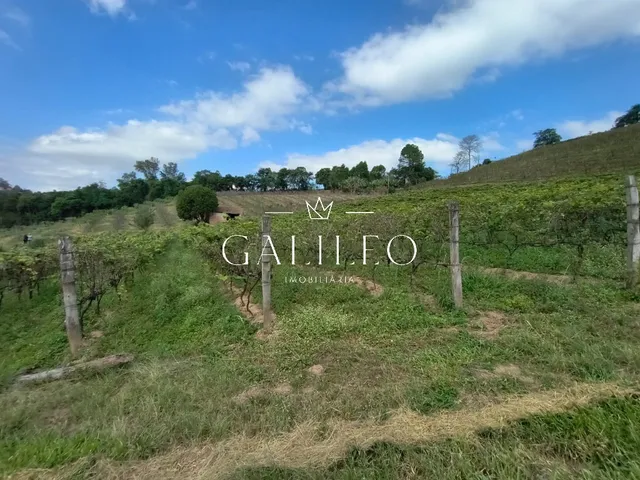 Imagem 6: Excelente oportunidade de investimento: Área à venda em...