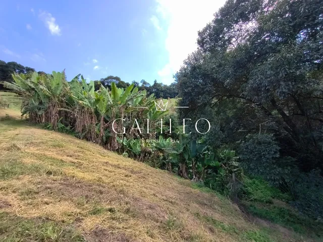 Imagem 4: Excelente oportunidade de investimento: Área à venda em...