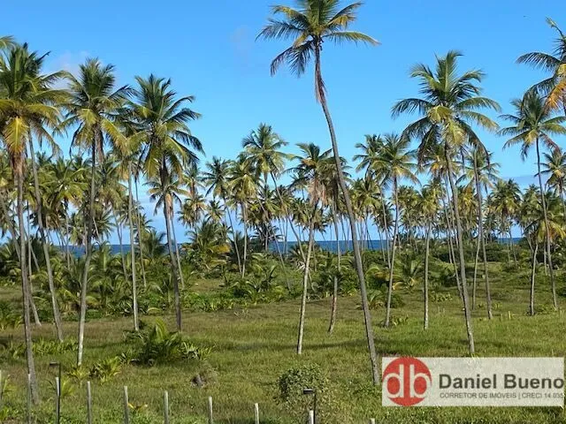 Imagem: Apartamento Alto Padrão - Iberostate