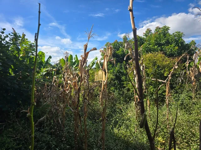 Imagem 4: TERRENO A VENDA BAIRRO NOVO RETIRO EM ESMERALDAS/MG R$150.000,00