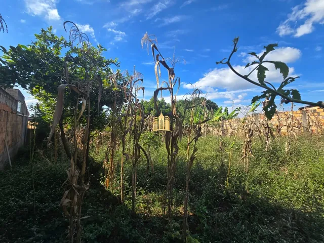 Imagem 8: TERRENO A VENDA BAIRRO NOVO RETIRO EM ESMERALDAS/MG R$150.000,00