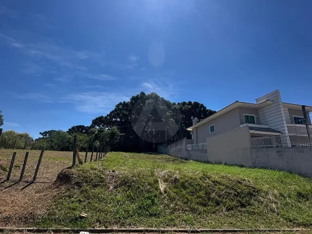 Imagem 2: ? TERRENO À VENDA EM CAMPO LARGO – ÓTIMA LOCALIZAÇÃO!