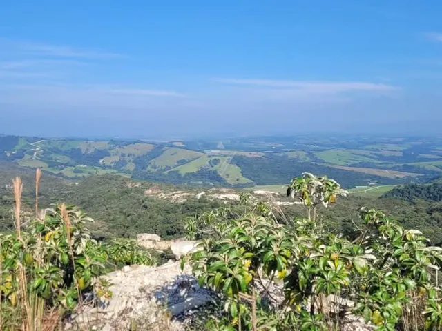 Imagem 5: Oportunidade Mineral: Área de Quartzo com Grande Volume de Reserva Estimada em MG