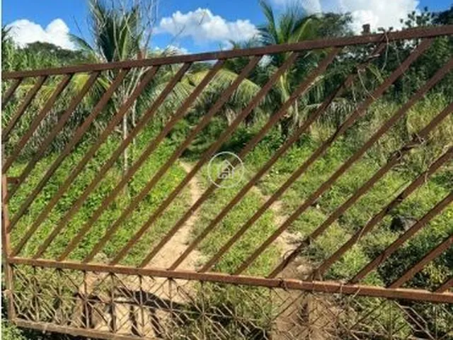 Imagem 5: Sítio à Venda em Januária/MG – Oportunidade Imperdível